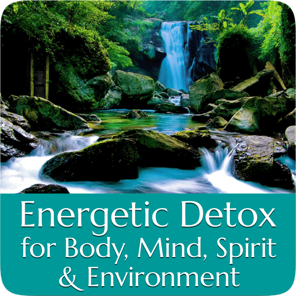 Energetic Detox Energetic Detox - Now Healing with Elma Mayer