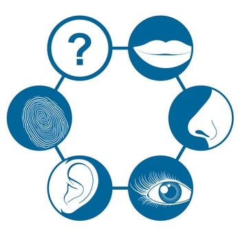 Intuition and 5 senses Intuition and 5 senses